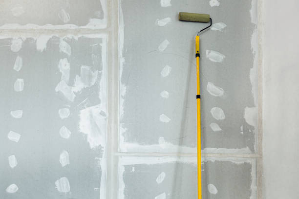 Mold Odor Removal Services in Columbia, IL