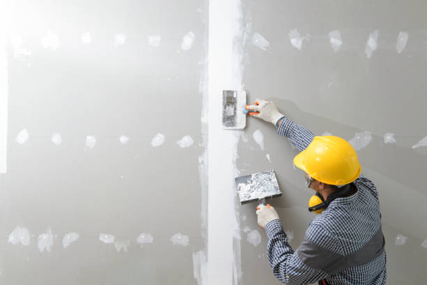 Best Environmental Consulting for Mold Prevention  in Columbia, IL