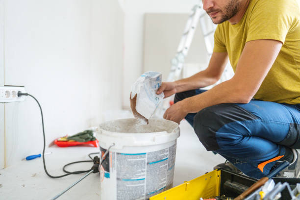 Reliable Columbia, IL Mold Removal Solutions