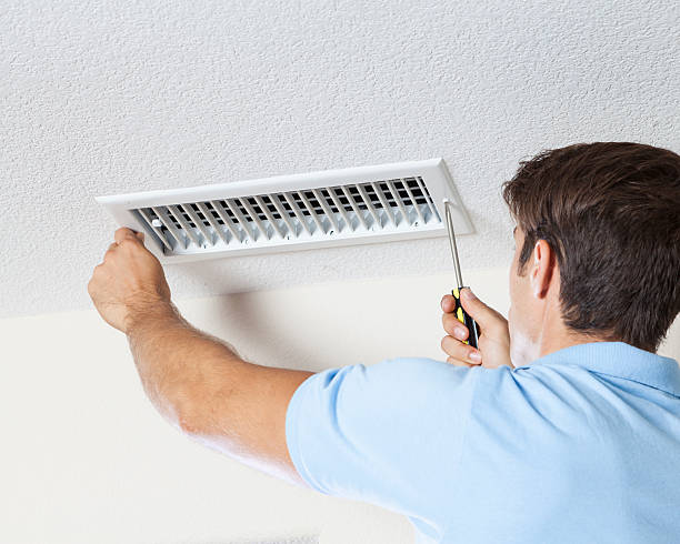 Best Forensic Mold Investigation  in Columbia, IL
