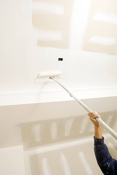Best Asbestos and Lead Testing During Mold Inspection  in Columbia, IL