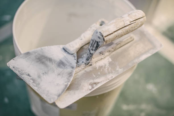 Best Post-Construction Mold Inspection  in Columbia, IL